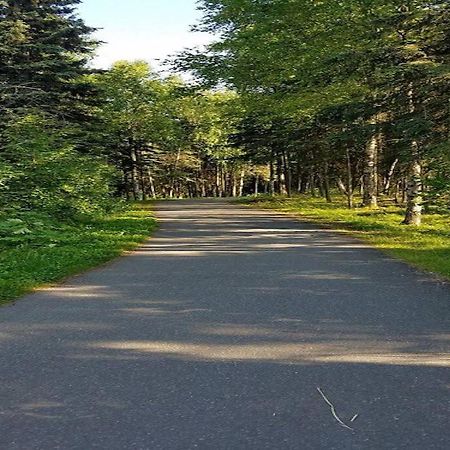 Moose Meadows- Near The Airport, Centrally Located Anchorage Exterior foto