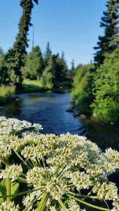 Moose Meadows- Near The Airport, Centrally Located Anchorage Exterior foto